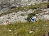 P1040330.JPG P1040330.JPG